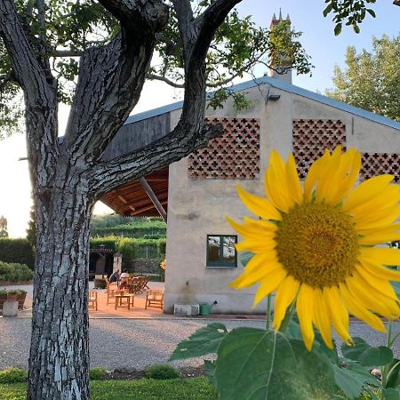 Villa Domus Cariana à San Pietro in Cariano Extérieur photo