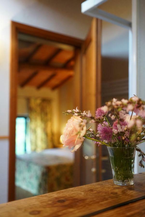 Villa Domus Cariana à San Pietro in Cariano Extérieur photo
