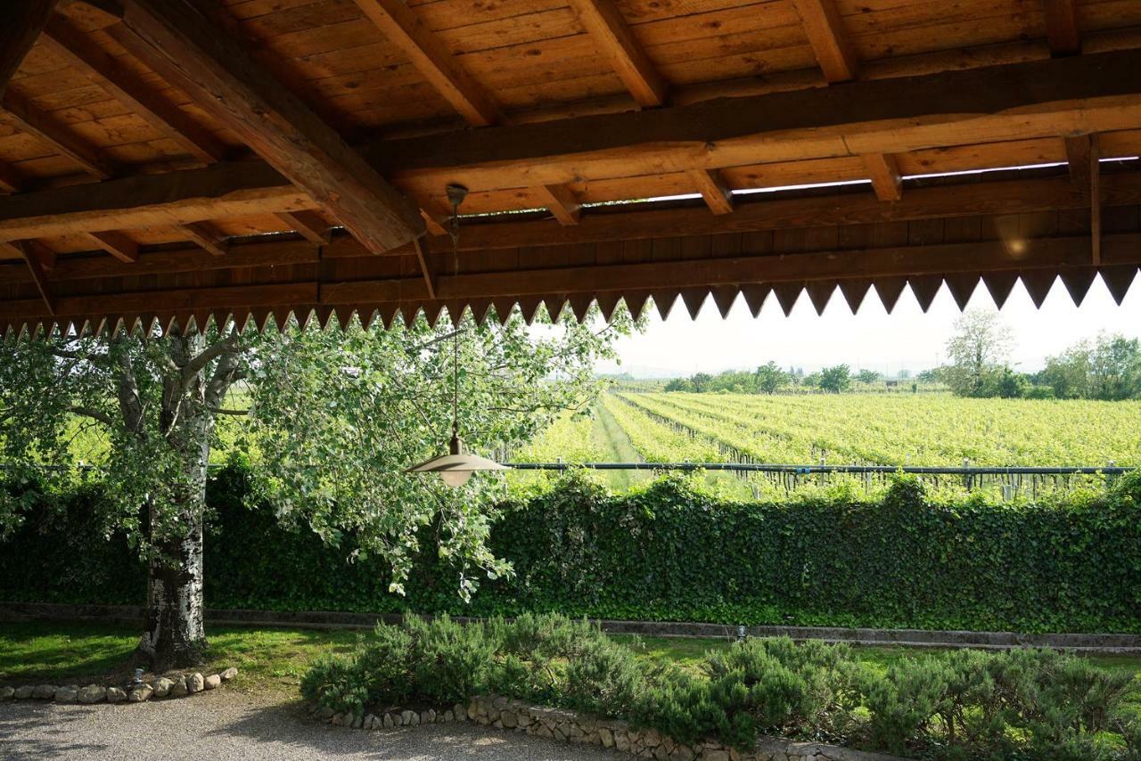 Villa Domus Cariana à San Pietro in Cariano Extérieur photo